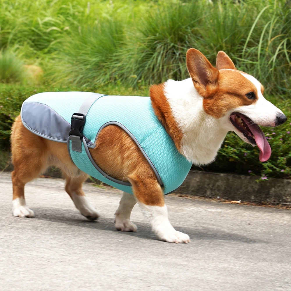 Summer Cooling Dog Vest Breathable Mesh Clothes for Small Large Dogs Outdoor Pet Cool Down Jackets Adjustable Dog Cooler Coat 250402