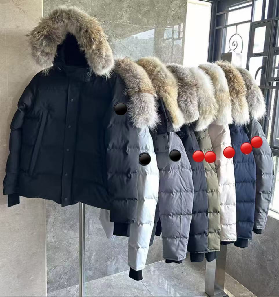Designer Puffer Jacket High Quality Mens Down jacket goose coat real big wolf fur Wyndham Overcoat Clothing Casual fashion style Winter Outerwear parka