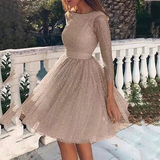 2025 Summer New Womens Dress Round Neck Long Sleeve Perspective Sexy Dress