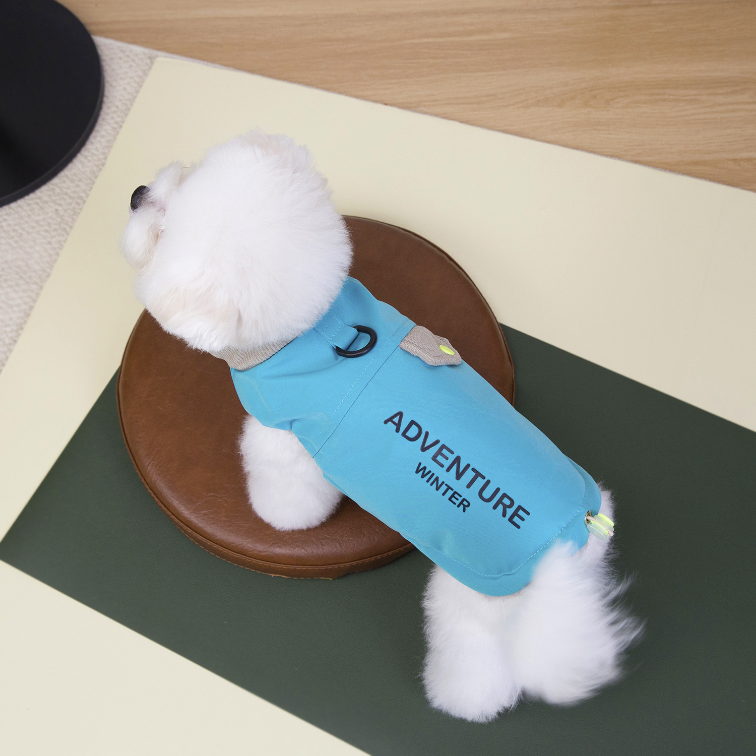 Adventure Winter Pet Vest with D-Ring & Reflective Detail, Letter-Embellished Colorful Warm Jacket for Small Dogs Like Bichon, Poodle, with Multiple C