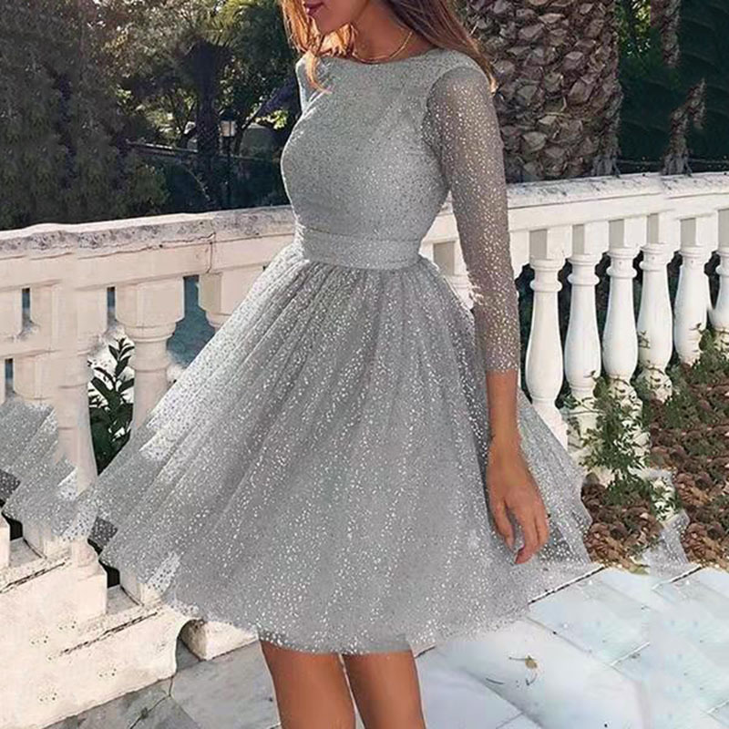 2025 Summer New Womens Dress Round Neck Long Sleeve Perspective Sexy Dress