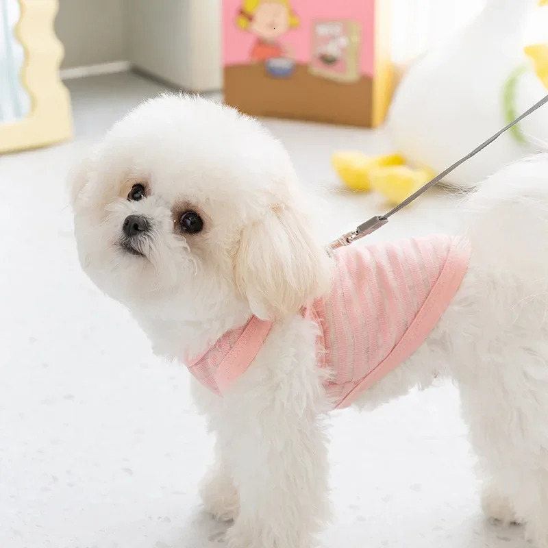 Spring and Summer Pet Feet Breathable Lightweight Hollow Striped Pulling Dog Vest Cat Teddy Dog Clothes Cooling Vest for Dogs 250402