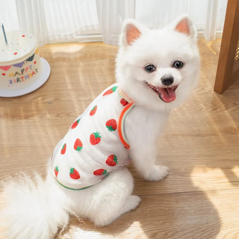 Summer Dog Cooling Vest Puppy Clothes for Small Dog Dot Strawberry Print Dog Mesh T Shirt Chihuahua Costume Cat Suspenders 2025 250402