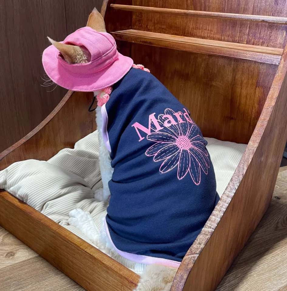 Spring Summer Vest for Pets Dog Cat Puppy Teddy Fadou Bears Small Dog Vest 250402