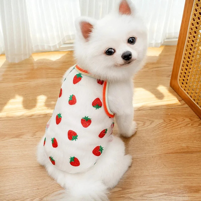 Summer Dog Cooling Vest Puppy Clothes for Small Dog Dot Strawberry Print Dog Mesh T Shirt Chihuahua Costume Cat Suspenders 2025 250402