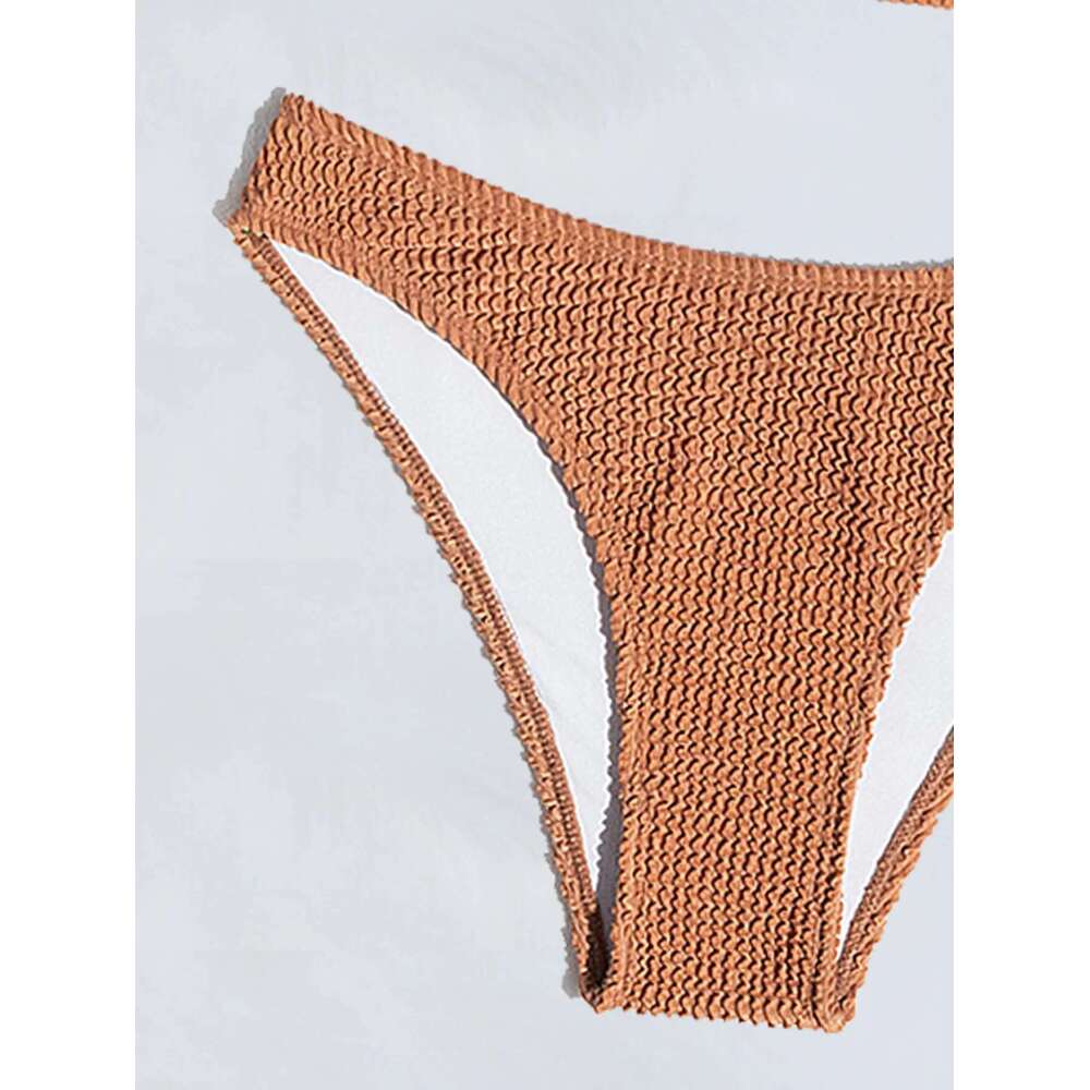 Women's Solid Color Brown 2 Piece Swimsuit 2025 New Bikini Set Sexy V-neck Halter Backless Bathing Suit Beach Vacation Swimwear