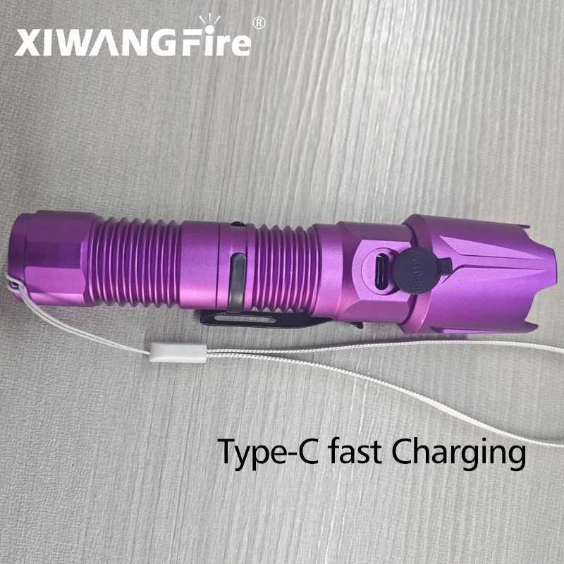 30W 395nm UV Flashlight USB-C Rechargeable Powerful Black Light for Pet Urine Detection And Resin CuringW251106