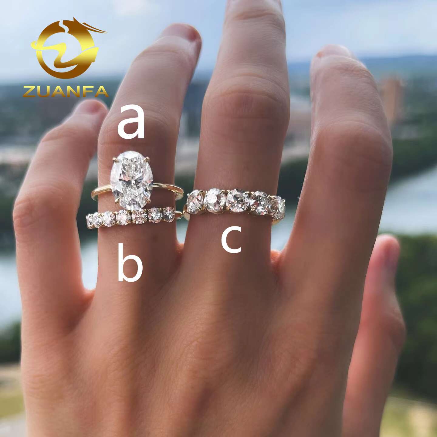 VVS Moissanite Jewelry With GRA Certificate Luxury 925 Wedding Band Diamond Ring White Gold Plated Fine Jewelry Ring for Women