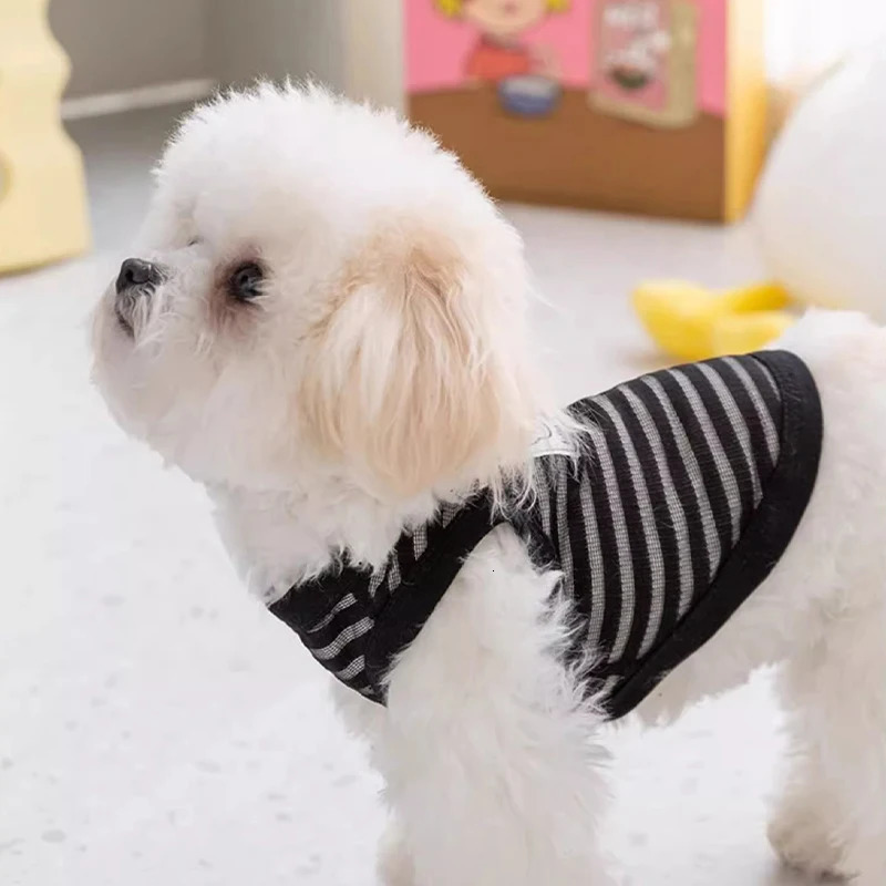 Breathable Mesh Pet Dog Vest Dog Summer Clothes Thin Cooling T Shirt Chihuahua Bichon Costume Cat Clothing Girls Puppy Shirt 250407