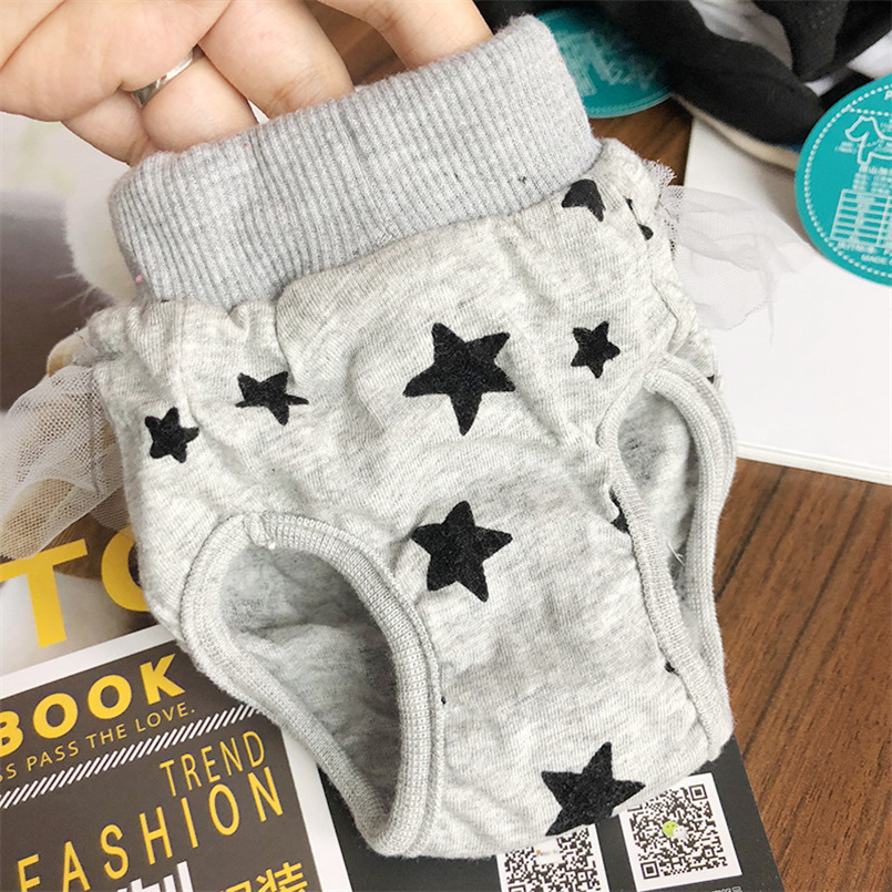 Cute Pet Dog Physiological Pants, Leopard Lace Skirt Diaper Pants For Teddy, Small Dogs Sanitary Shorts