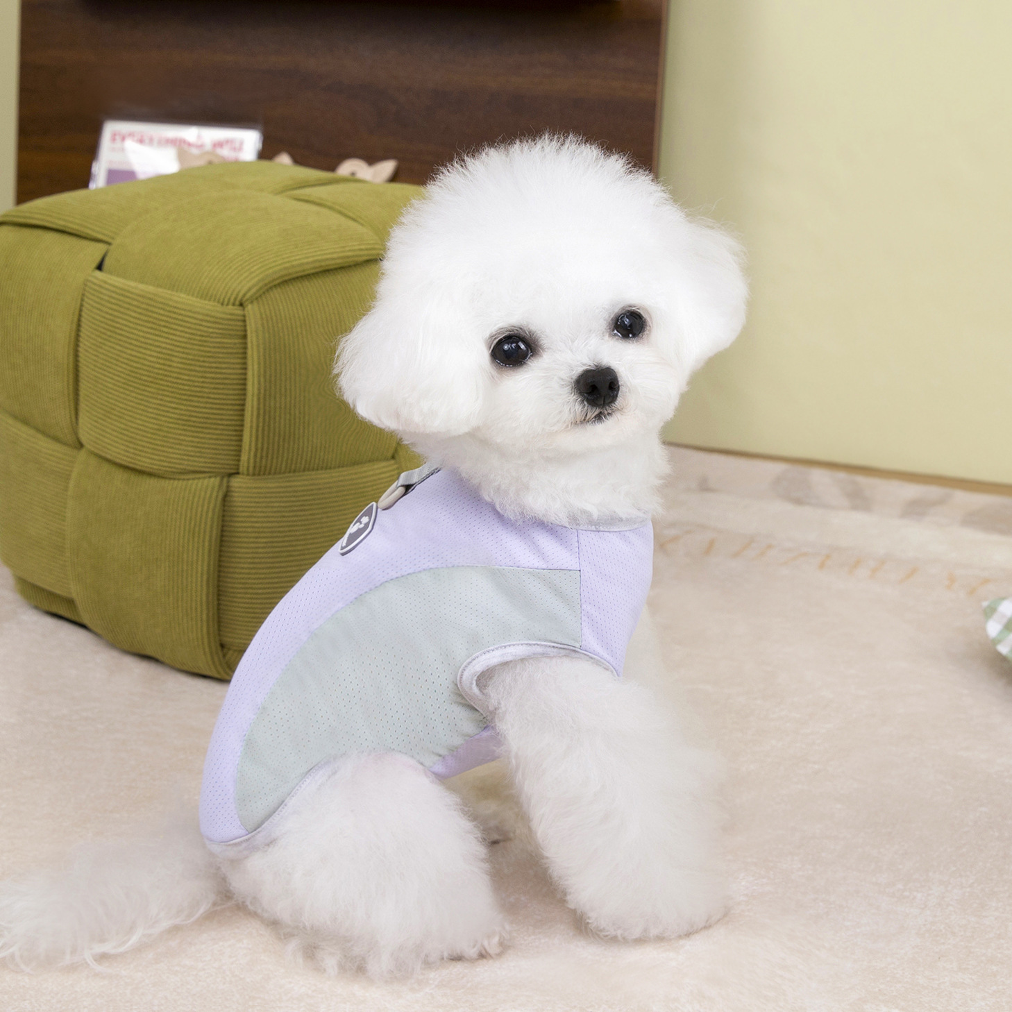 Dog Shirts Pet Clothes Double Tone Color Vest, 3 pcs Puppy Vest T-Shirt Sleeveless Costumes, Soft and Breathable Pet Apparel Outfits for Small Medium 