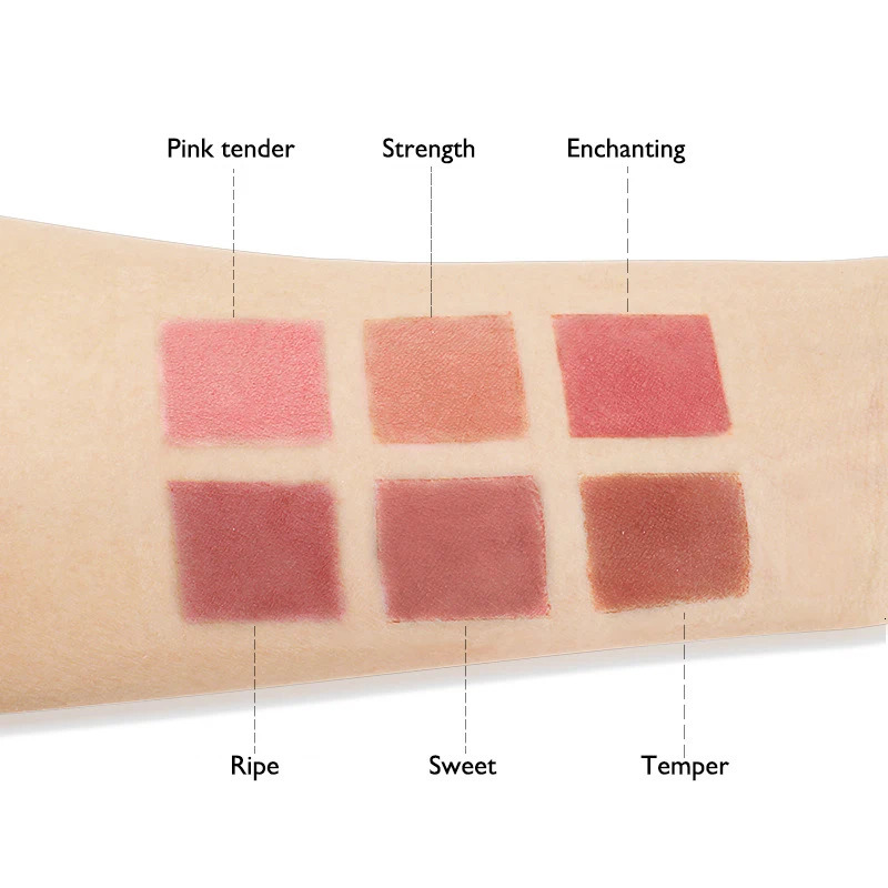 Six color powder blusher durable natural tanning matte pearlescent skin friendly coarse palette 250325