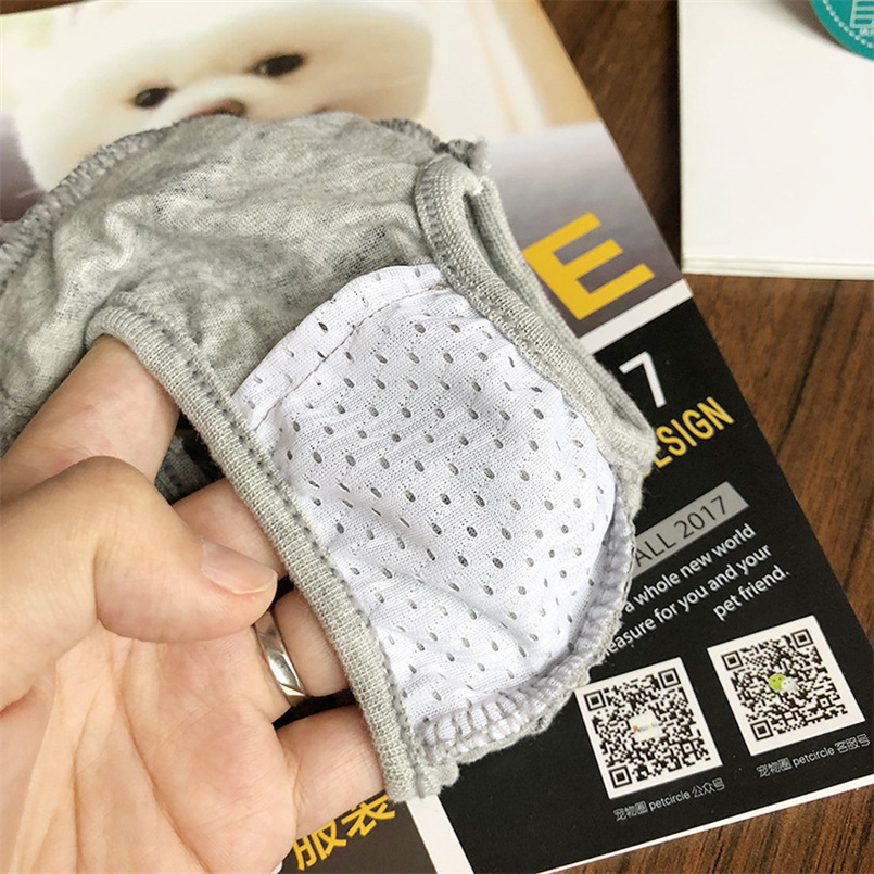 Cute Pet Dog Physiological Pants, Leopard Lace Skirt Diaper Pants For Teddy, Small Dogs Sanitary Shorts