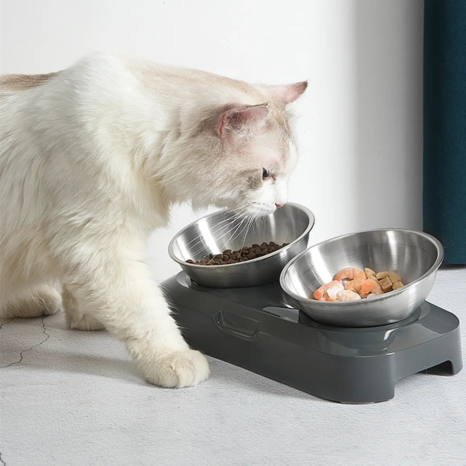PETWAN pet raising stainless steel cat bowl anti slip silicone pad and cat raising bowl with 15 ° and 0 ° tilted neck pet protection bowl 250403