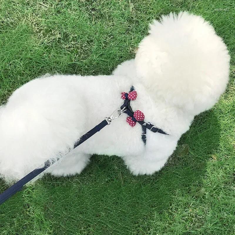 Update Dog Chest Strap Traction Rope Cat Teddy Small Chain Vest Walking Pet Supplies