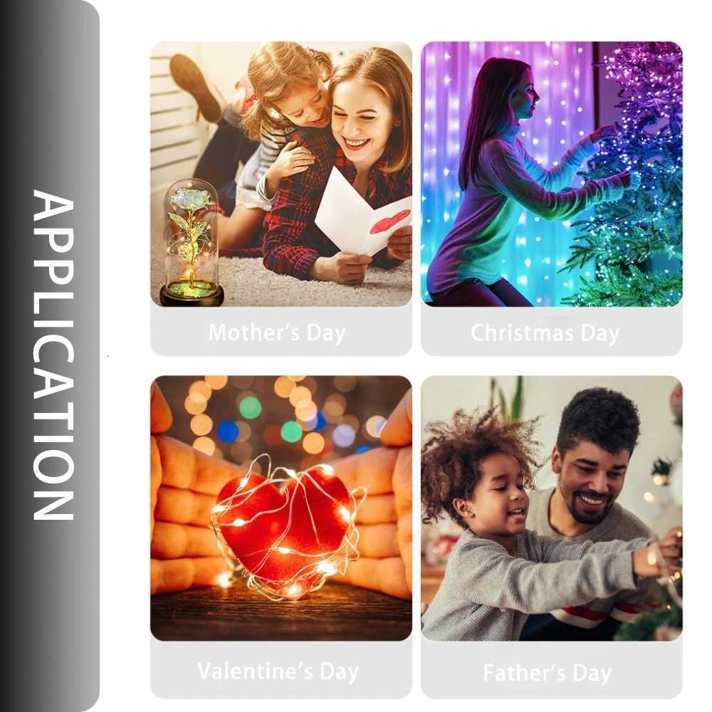 WS2812B RGBIC LED Strip String Copper Wire WS2812 Individually Addressable Party Wedding Garland Deco Christmas Lights DC5V/12V W251107