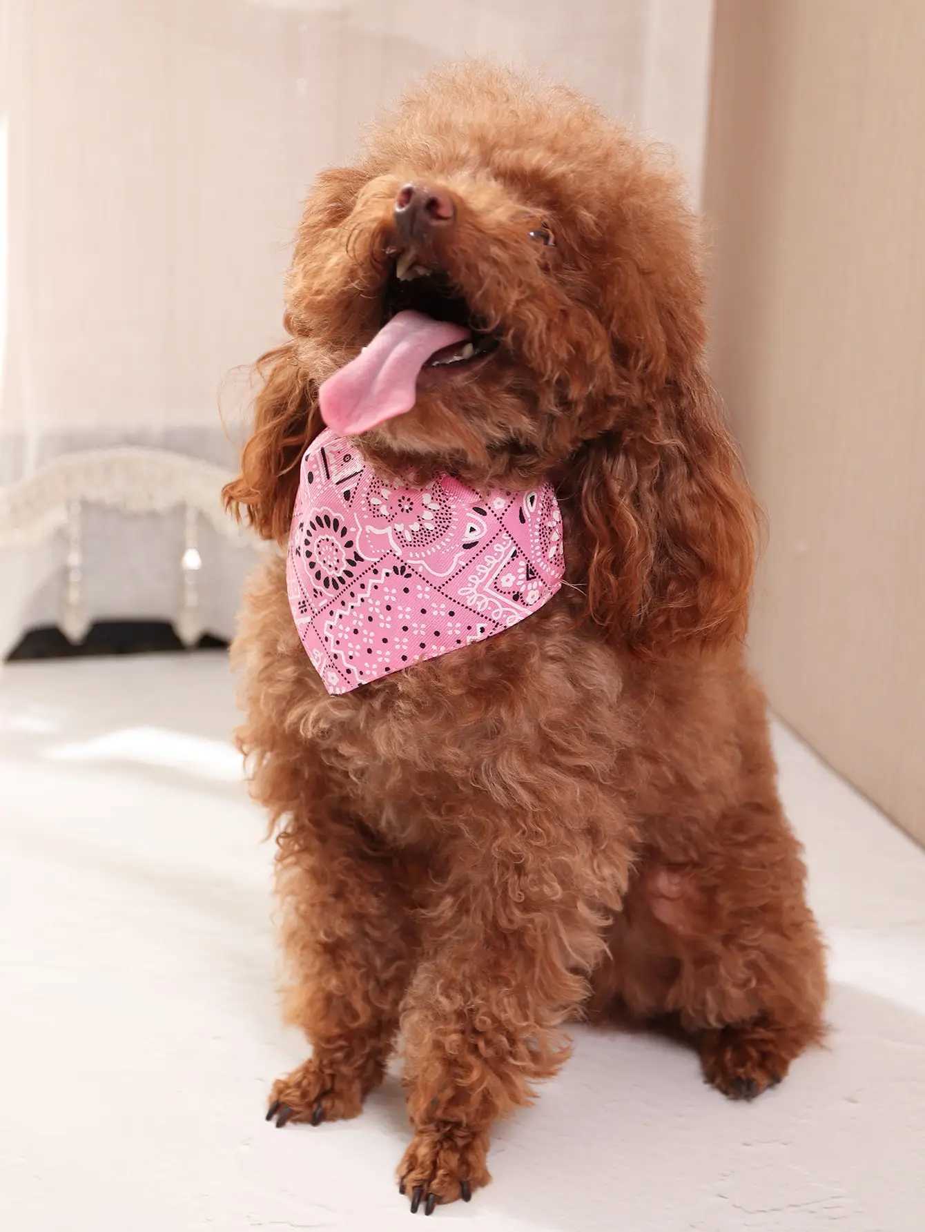 1 piece of pink random pattern pet bandage with adjustable triangular and buckle shaped pet dog collar and bib M250407