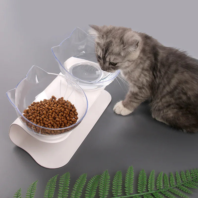 Anti slip double cat bowl dog bowl with bracket pet feeding cat water bowl food pet bowl 250403