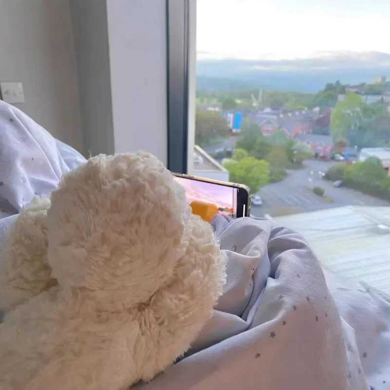 Duck Toys Interactive Soft Plush Animal Doll Cat Dog Pet Similar Gift Girl Birthday Christmas C251107