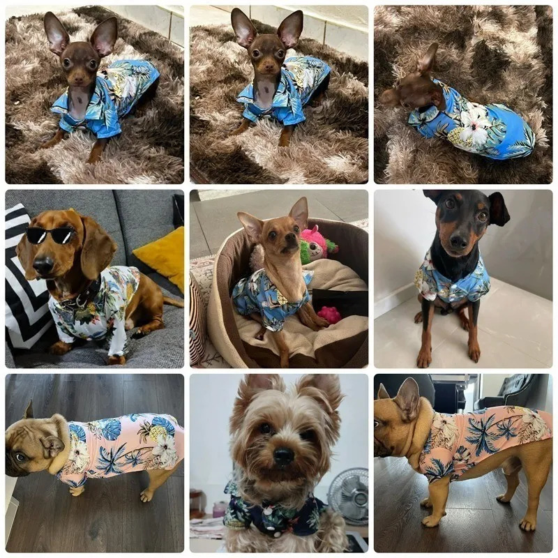 Hawaiian Dog Shirts Hawaiian Puppy Dog T-Shirts with Coconut Tree Print Hawaiian Pet Apparel Suit for Small To Medium Dogs Cats 250407