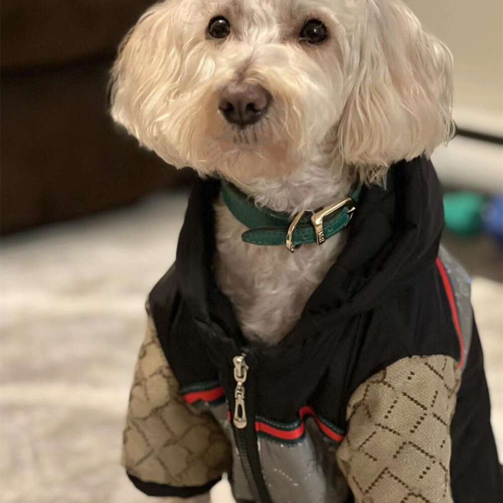 New pet autumn winter clothing: Schnauzer Bear Fighting Winter Clothing, Small and Medium sized Dog Non stick Hair Clothing