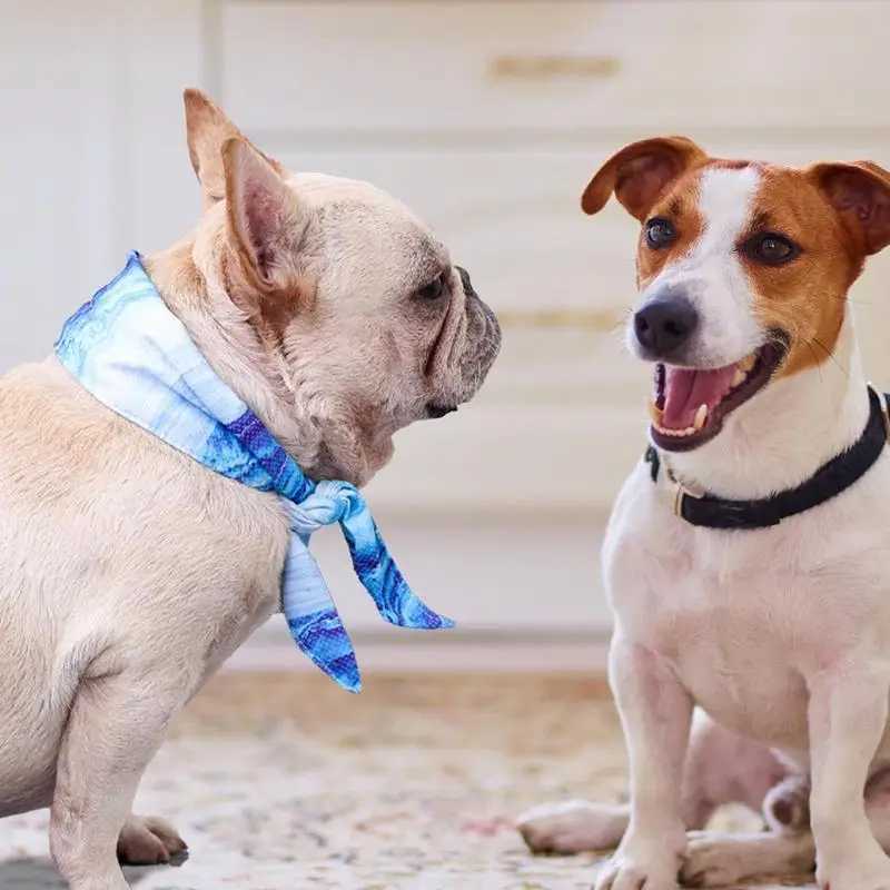 High Quality Cool bandage for dogs instant cooling pet bandage breathable summer ice scarf collar for small medium and large dogs T250407
