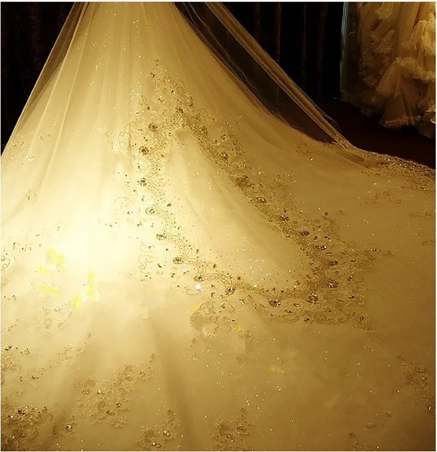 Gorgeous Crystal Long Cathedral Wedding Veils With 3D Lace Appliques Soft Tulle One Layer Bridal Veil