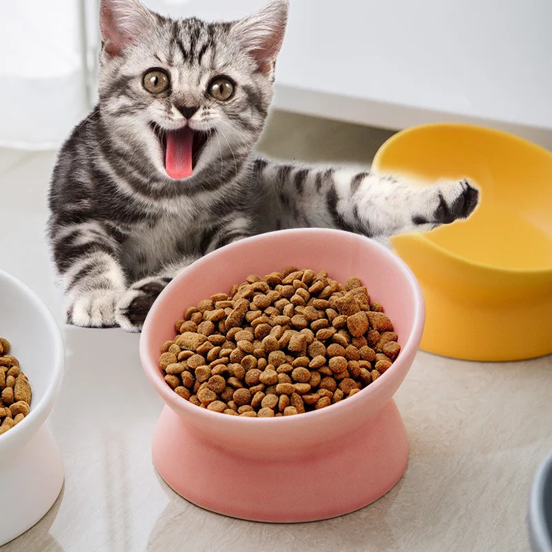 Elevator Cat Bowl Puppy 15 ° Tilted Feeding Plate Ceramic Bracket Feeder Suitable for 6 Colors of Cats and Puppies 250403