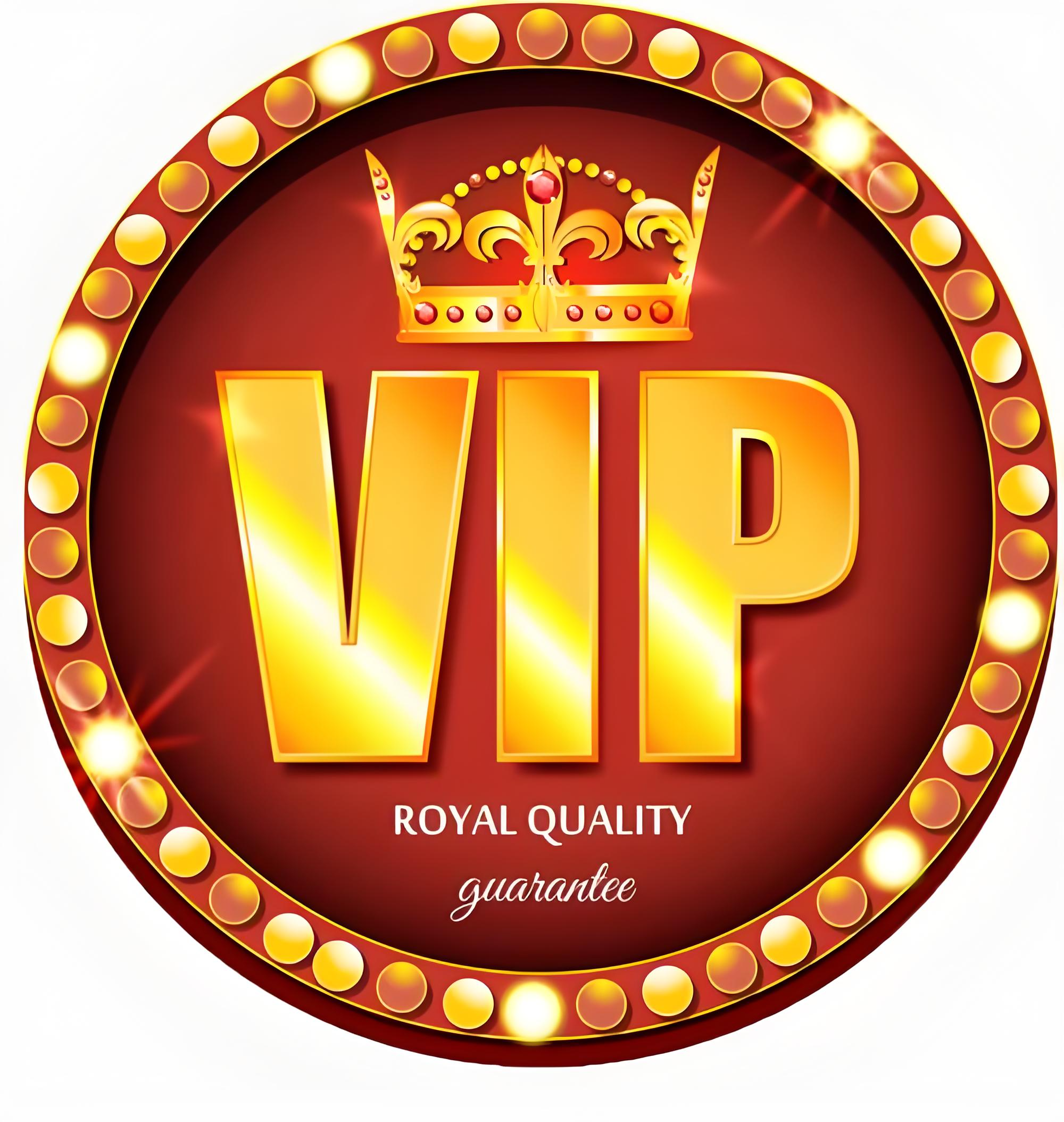 VIP Payment Link 2 for designer Jewelry Gems Accessories custom trendy luxury classic high quality bracelet necklace ring charms pendant chain with stamps