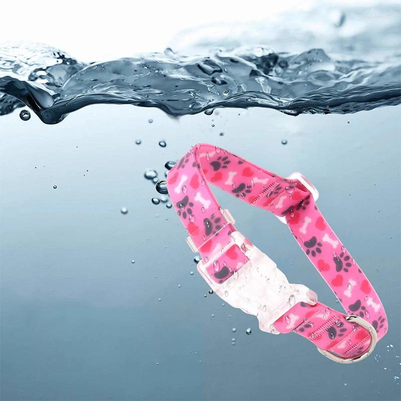 Update Colorful Vacation Pet Collar Durable Webbing Necklace For Small Large Dog Waterproof Adjustable Buckle Soft Collars Supplies