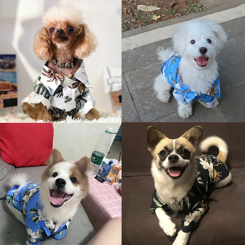 Small and medium-sized dog beach pineapple shirt Hawaiian pet dog cat golden retriever spring and summer season clothing 250407