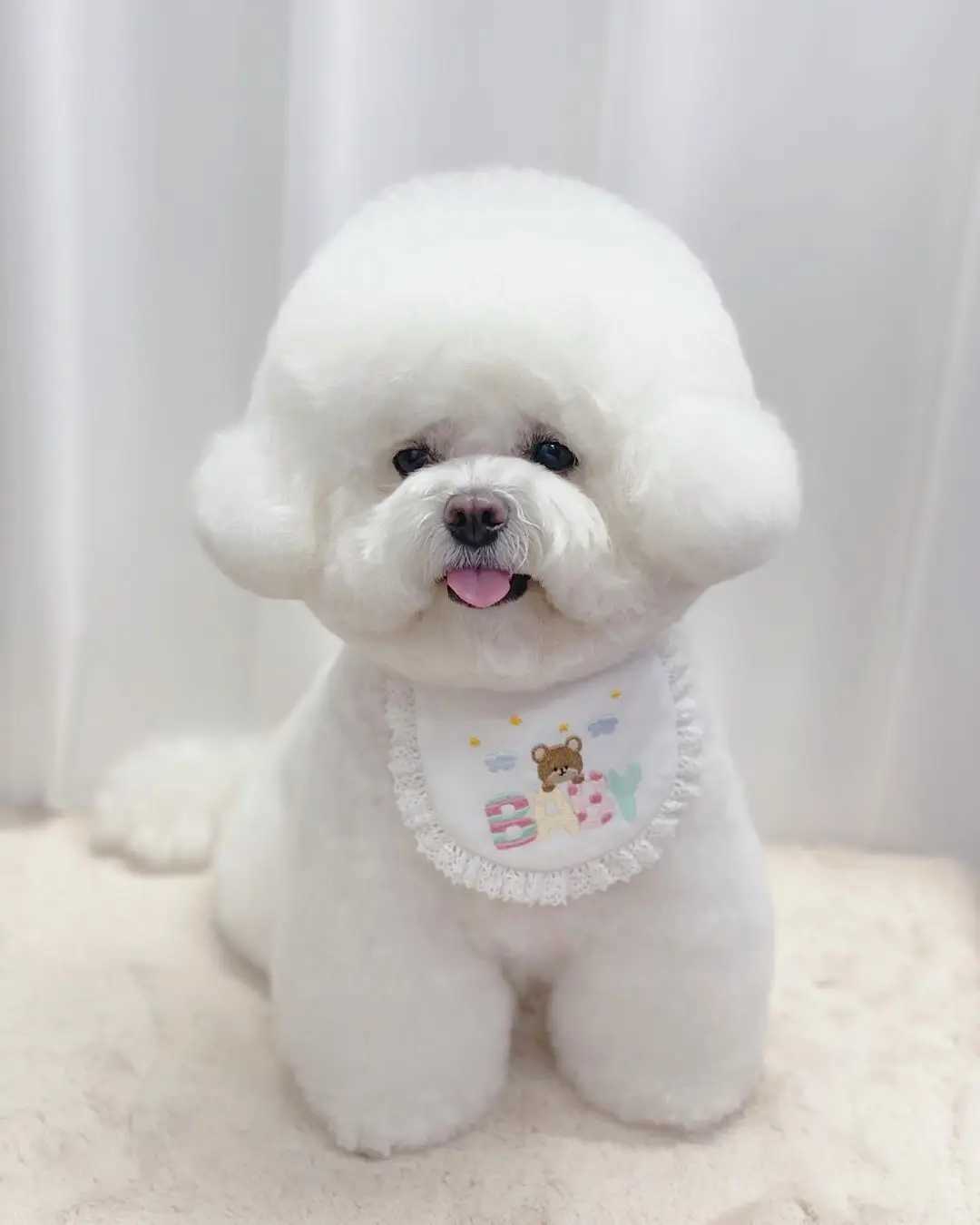 High Quality Cute baby bear embroidered dog bib pet bib Saliva towel Bichon Teddy Hiromi bib cat triangle T250407