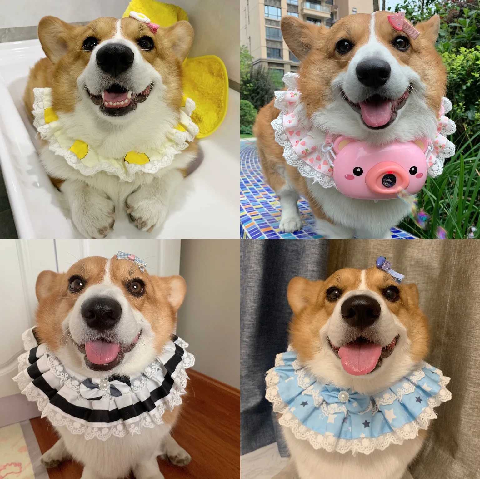 High Quality Hot selling new arrivals pet dog cat puppy lace bow flower print collar bib necklace direct shipping T250407