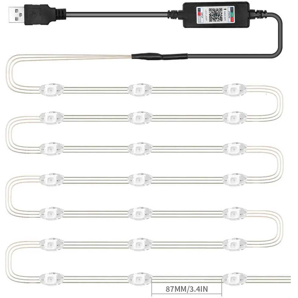 WS2812B RGBIC LED Strip String Copper Wire WS2812 Individually Addressable Party Wedding Garland Deco Christmas Lights DC5V/12V W251107