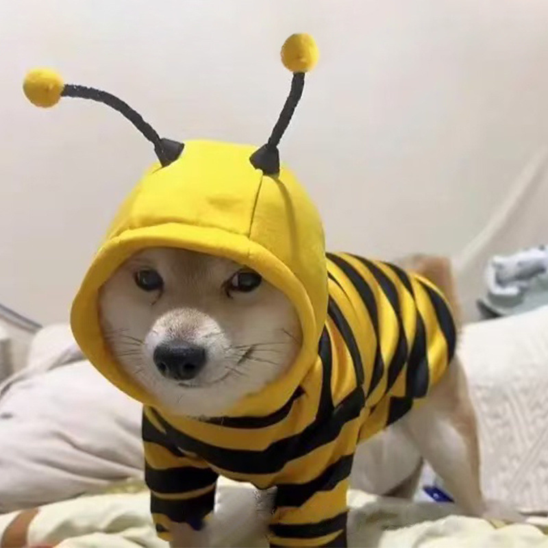 Dog Cute Bee Pattern Hoodie Teddy Bear Shiba Inu Small Dog Autumn/Winter Cat Clothes
