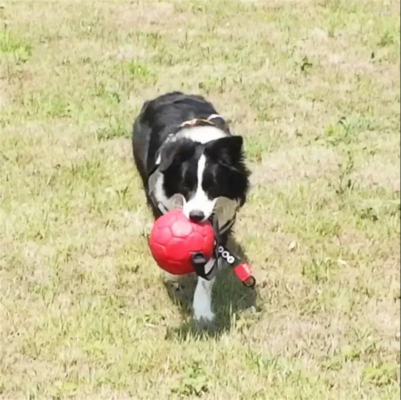Update Bite-Proof Pet Dog Ball Toy Cowhide Harmless Teeth Interactive Throwing Training Game Soccer For Supplies