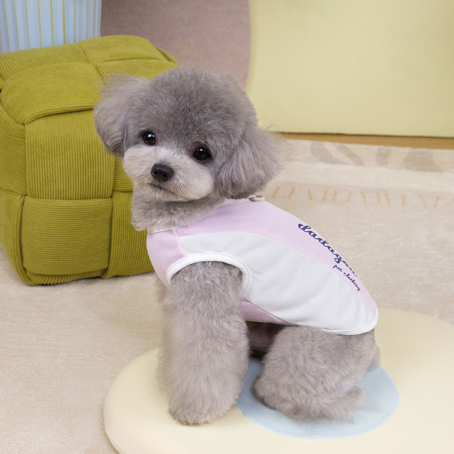 Leisure Dog Shirts Pet Letters Printed Clothes Summer Pet T Shirts Puppy Vest Breathable Dog Outfit Soft Sweatshirt for Chihuahuas Small medium Dogs X
