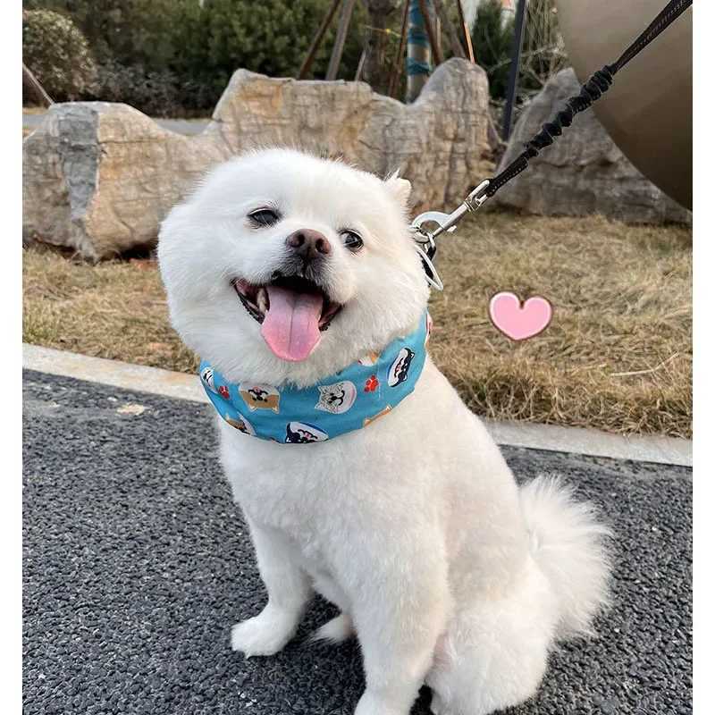 High Quality Dog cooling ice collar cat bib puppy cooling ice scarf hot stroke pet cooling dog collar supply for all dogs T250407