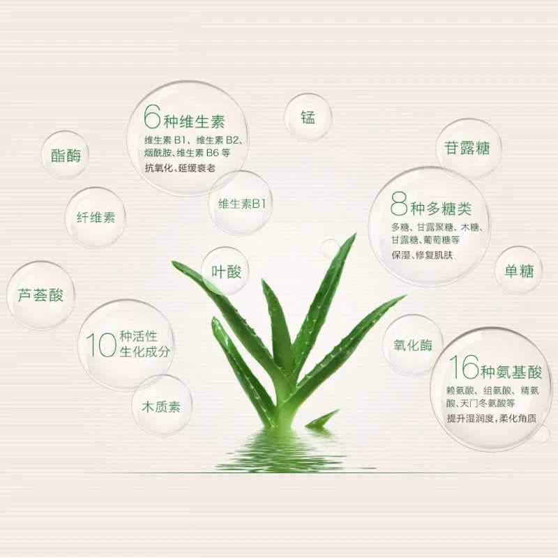 99% aloe facial powder smooth powder waterproof breathable and moisturizing makeup concealer bright foundation make-upXJ250407