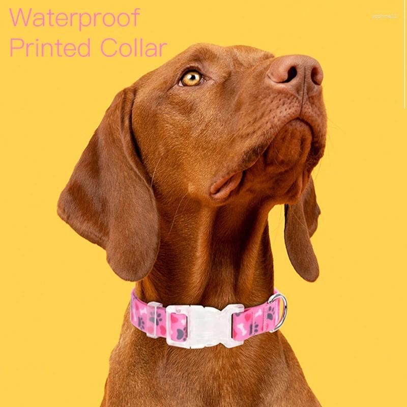 Update Colorful Vacation Pet Collar Durable Webbing Necklace For Small Large Dog Waterproof Adjustable Buckle Soft Collars Supplies