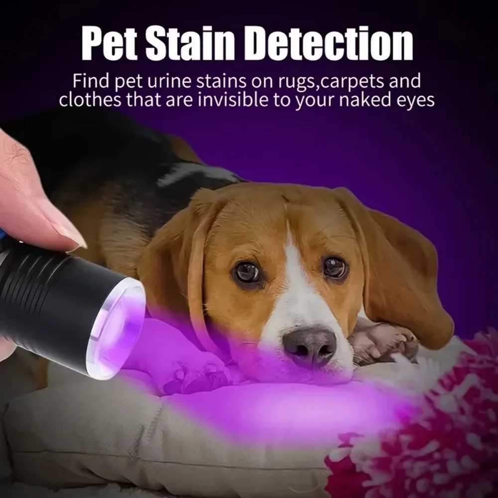 Ultraviolet Torch Black Light 3W USB Rechargeablec 365nm Cat tinea Money Ore Scorpion Detection Urine SV57 Pets UV FlashlightW251106