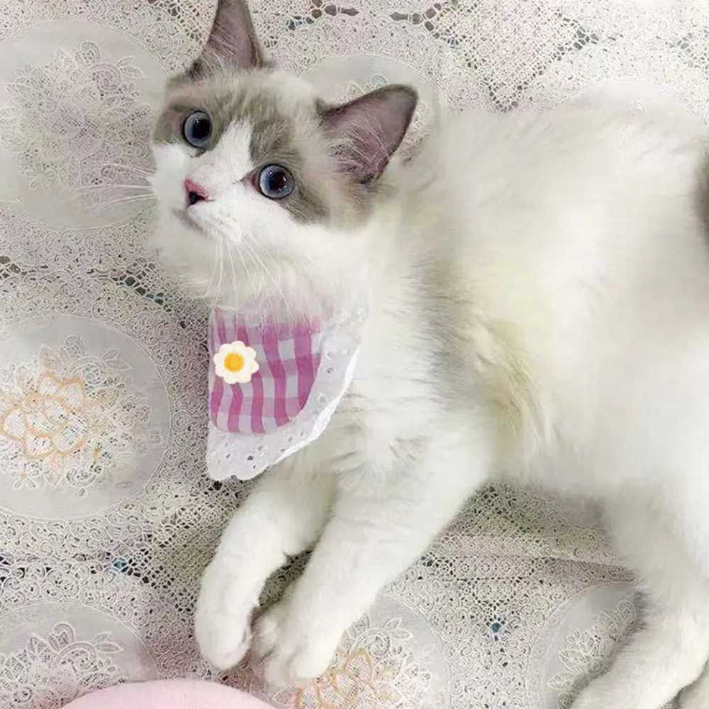 High Quality Fashionable and cute dog flower Saliva towel adjustable breathable sunflower pet neck soft pet plain bib T250407