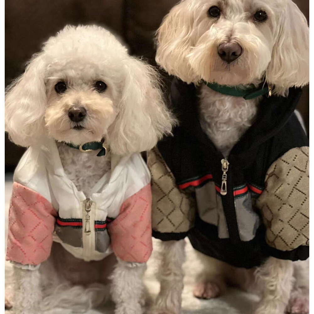 New pet autumn winter clothing: Schnauzer Bear Fighting Winter Clothing, Small and Medium sized Dog Non stick Hair Clothing