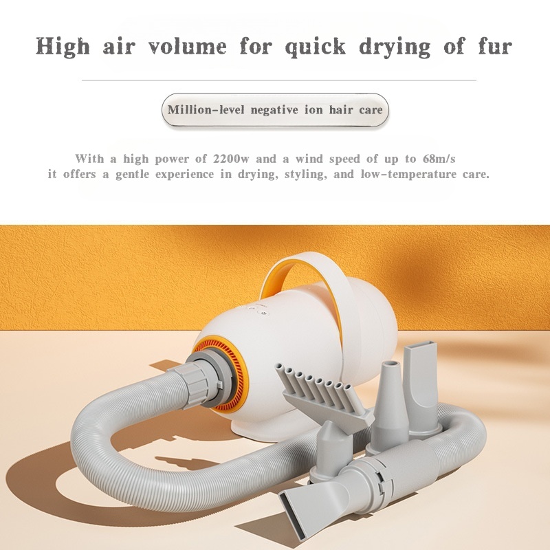 Versatile Pet Hair Removal System Blending Blowout Power and Suction Technology for Pets