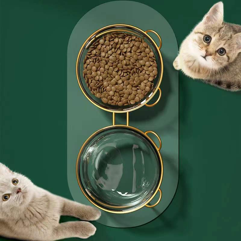 Cute Cat Double Bowl - Oblique Mouth Glass Design with Anti-Knock Protection for Cervical Spine Support