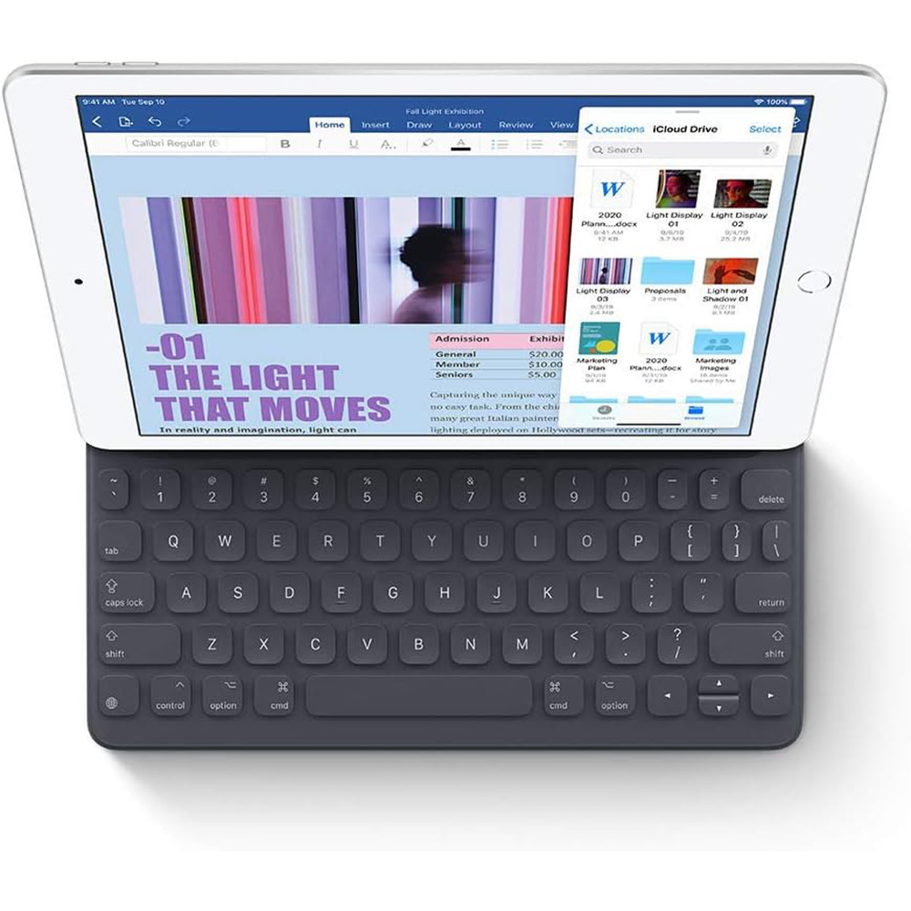 2019 Apple iPad (10.2-inch, Wi-Fi + Cellular, 32GB) - Gold (Used 95% New)