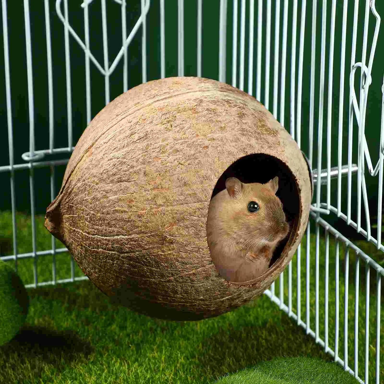 Birdcage Pet Bird Nest Hanging Bird Coconut Shell Bamboo Wood 250403