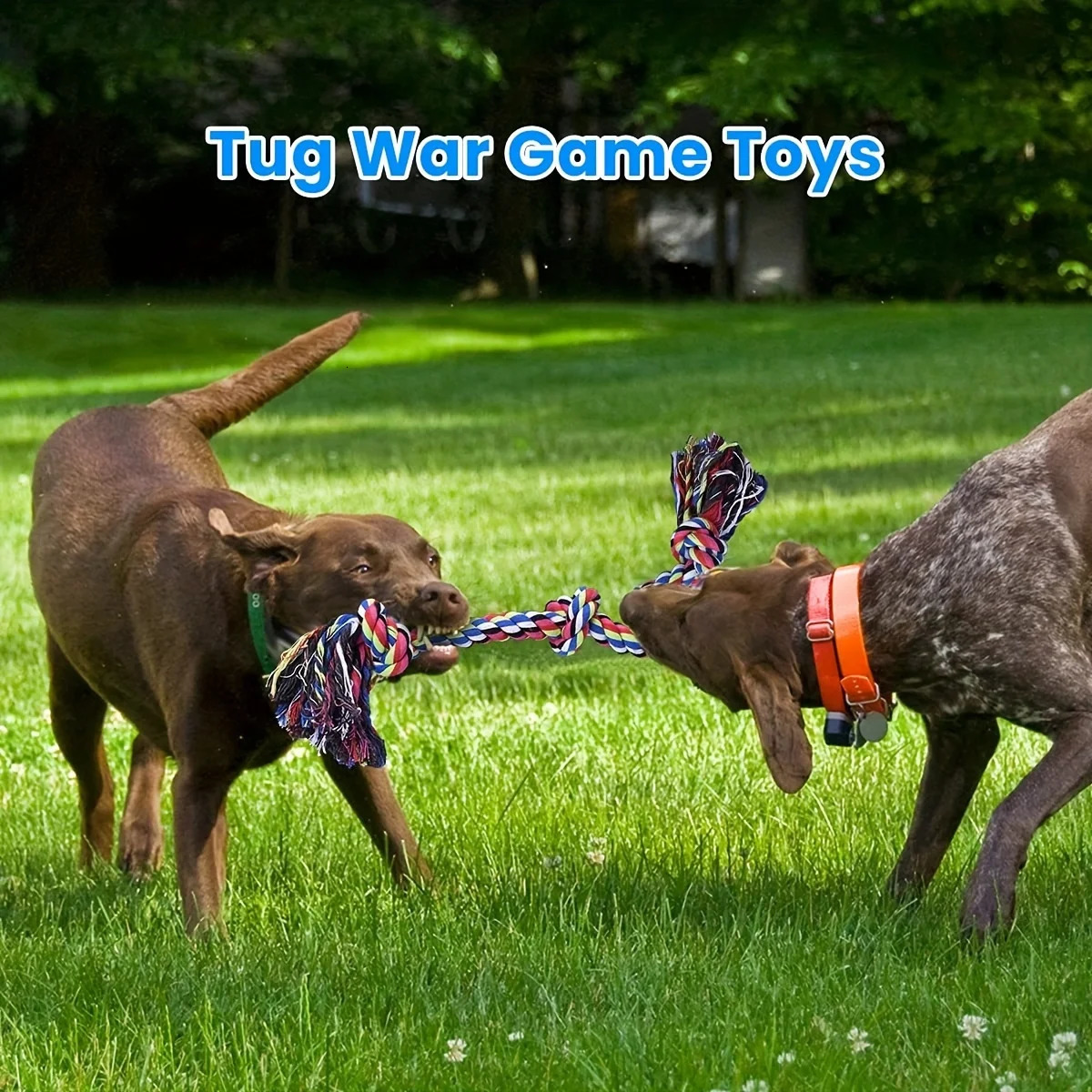 Jiegou Toy Durable Dog Chewing Toy Tug of War Interactive Toy Suitable for Medium and Large sized Dog Pet Supplies 250402