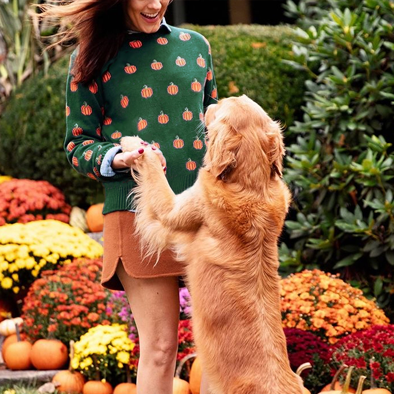 Women's new color-matching sweater, Halloween pumpkin jacquard long-sleeved sweater, romantic autumn clothing Valentine's Day outfit for wom