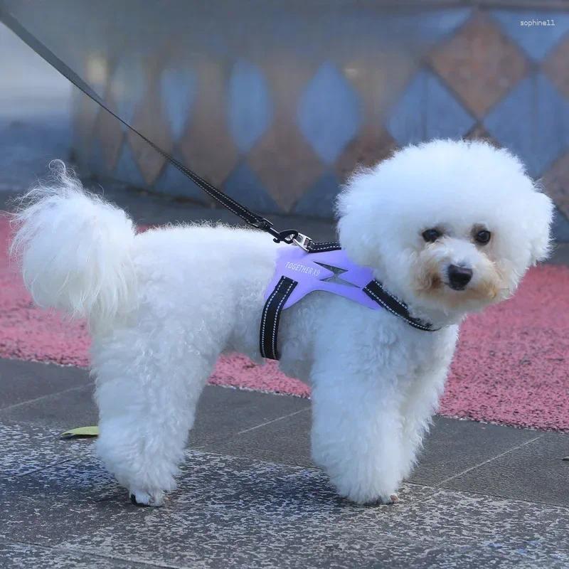 Update South East Asia Pet Chest Strap Dog Explosion-Proof Vest Type Walking Leash Source Factory Spot